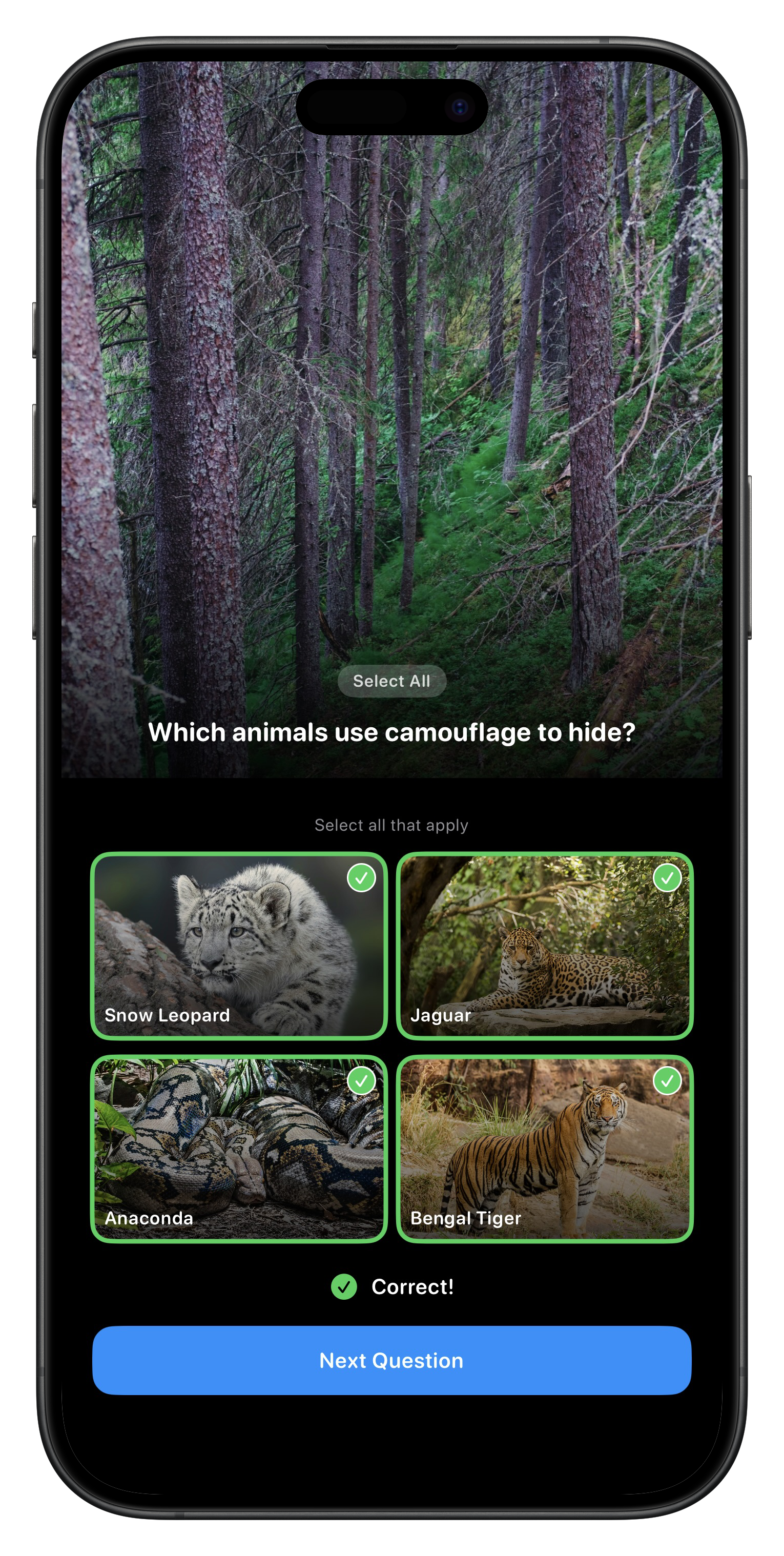 Fauna Quiz Screenshot